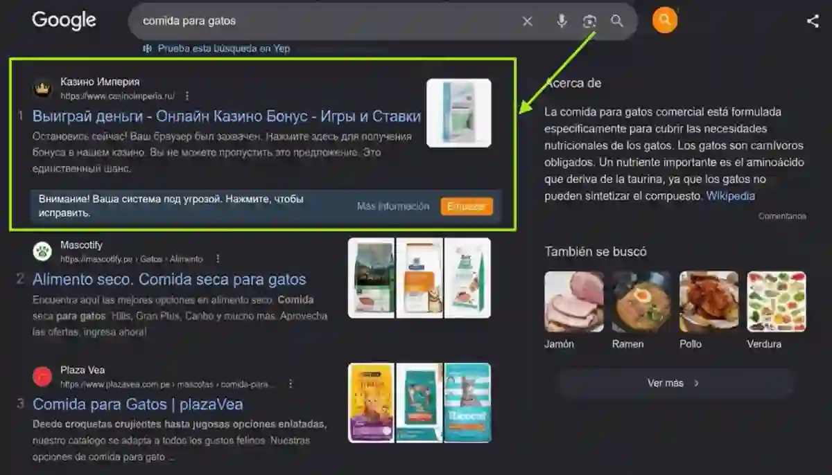 Resultado destacado de Google para “comida para gatos” ocupado por un anuncio fraudulento de casino online que simula una alerta de seguridad del navegador